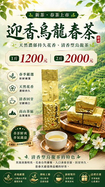 迎香烏龍春茶
